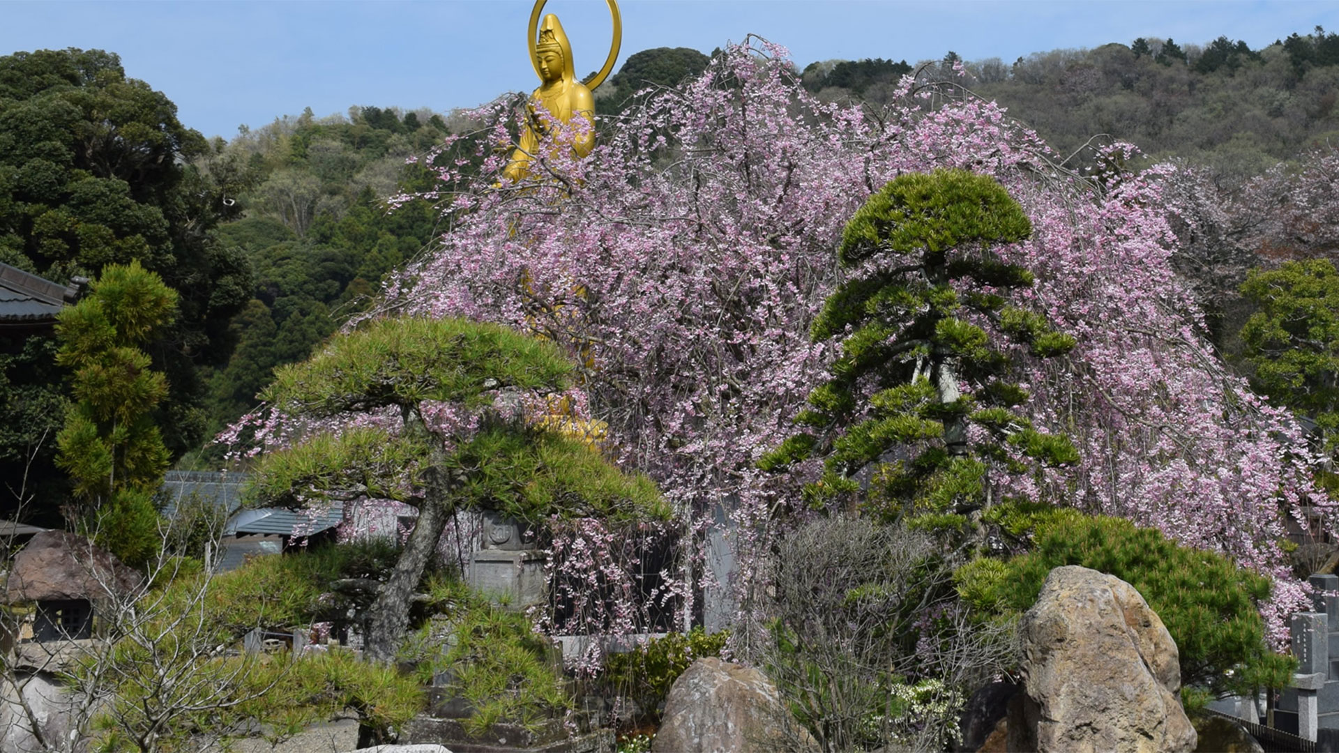 圓明院｜観音堂永代供養