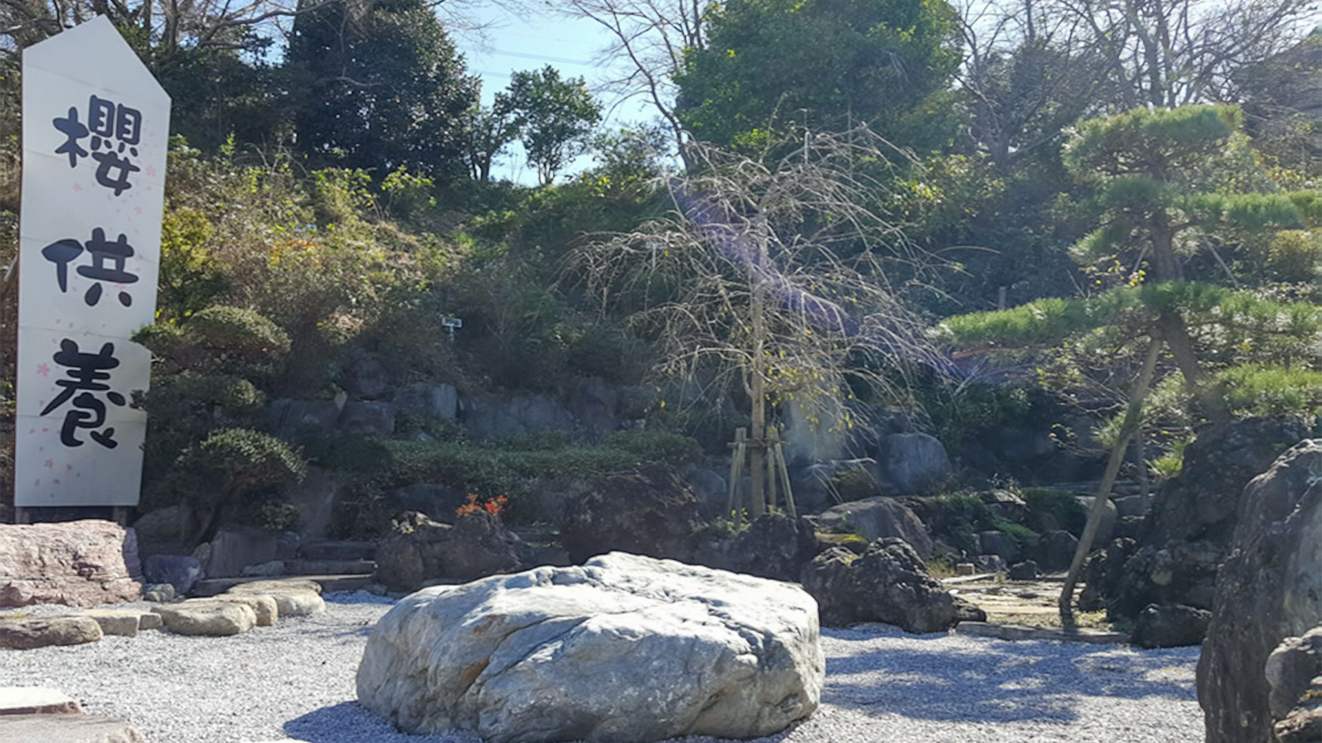 圓明院｜さくら樹木葬