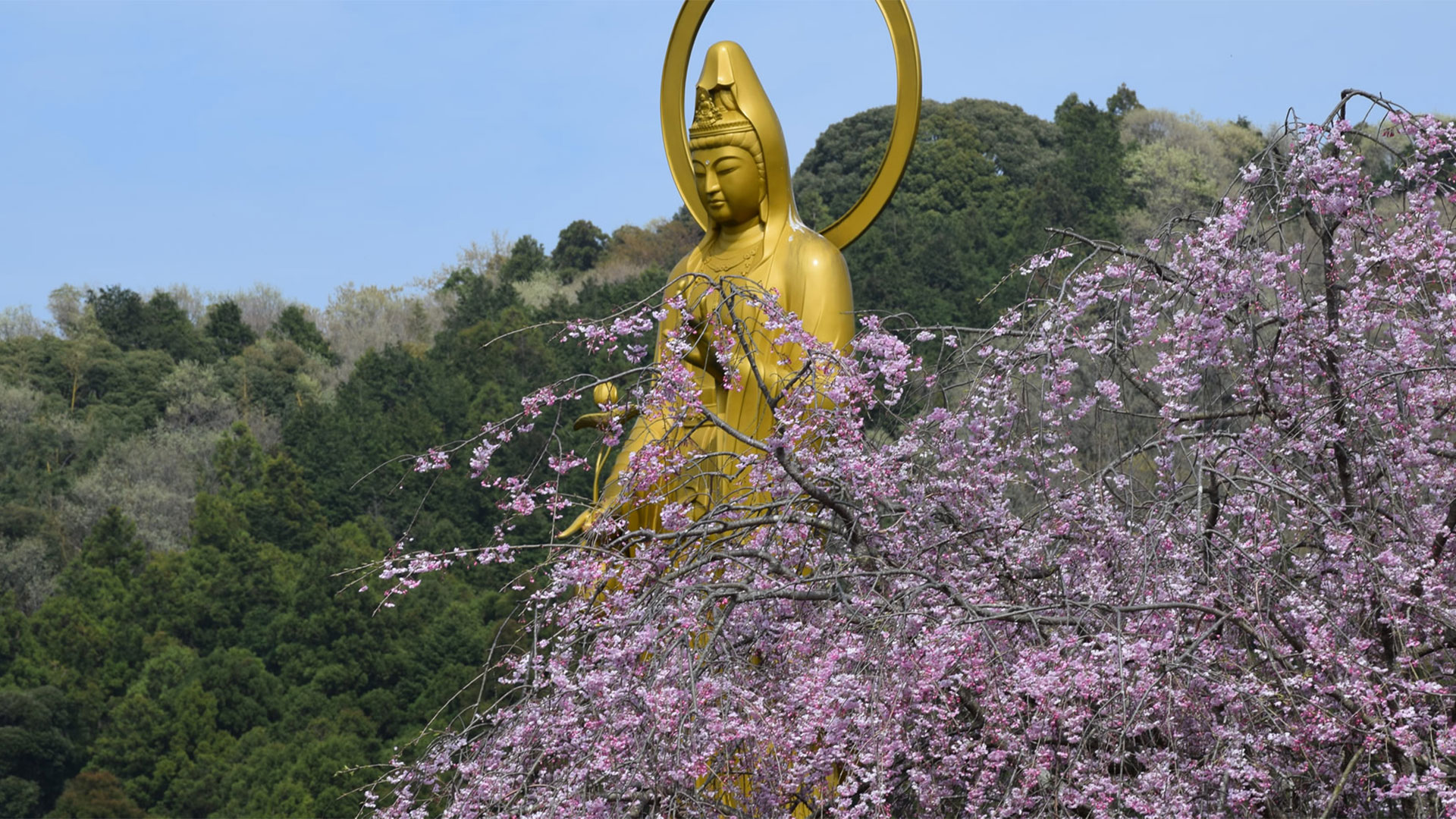 圓明院｜永代供養・納骨堂・樹木葬