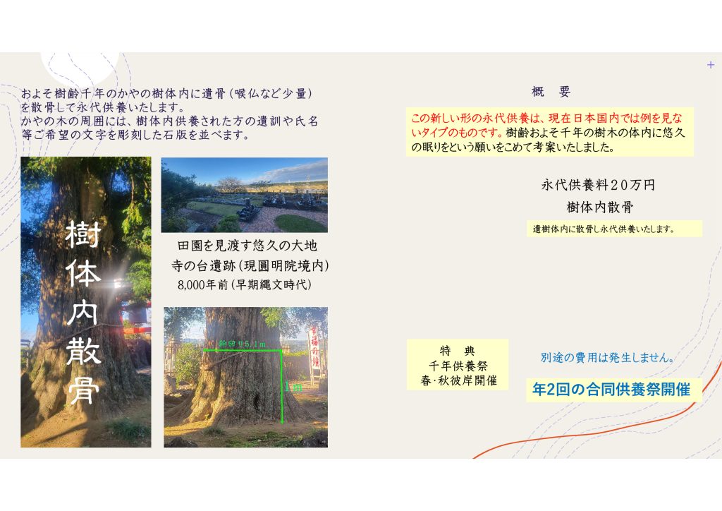 11 | 君津市 圓明院 樹体内散骨